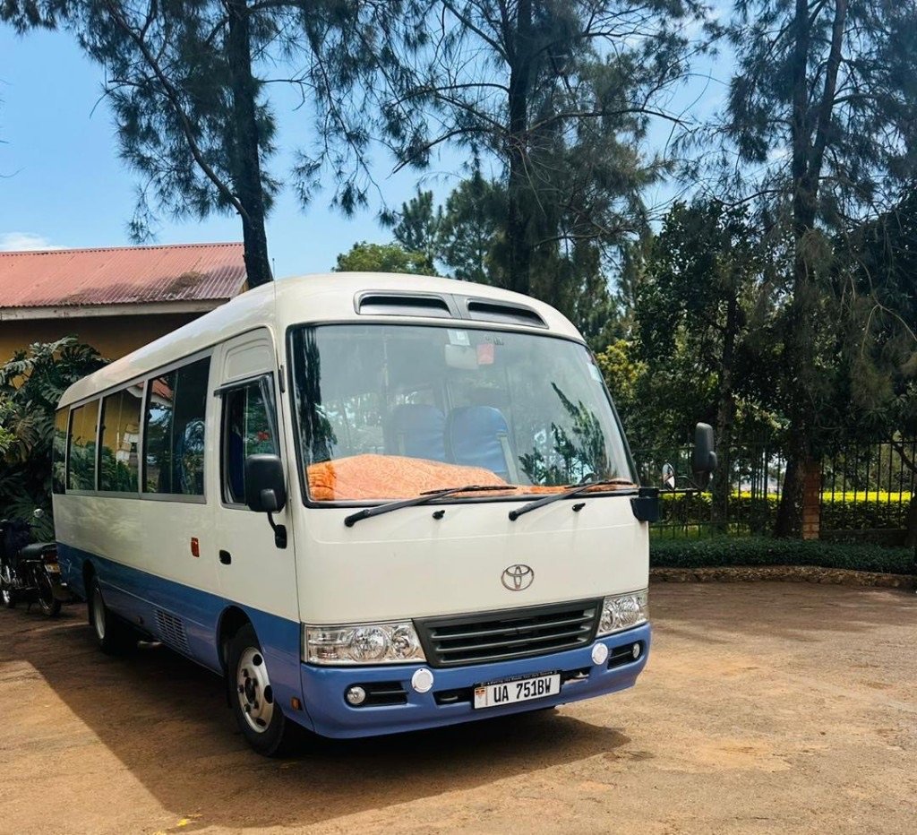Buses