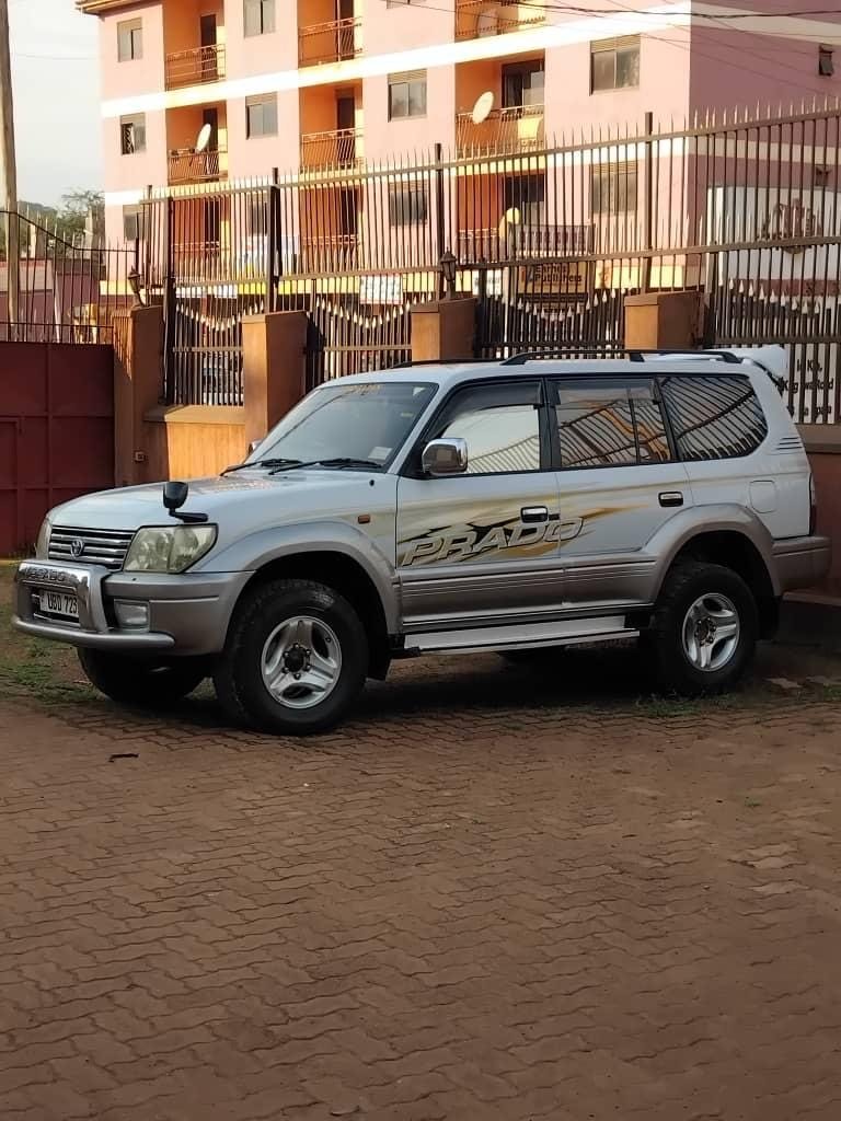 Stim Road Travels Prado in the yard